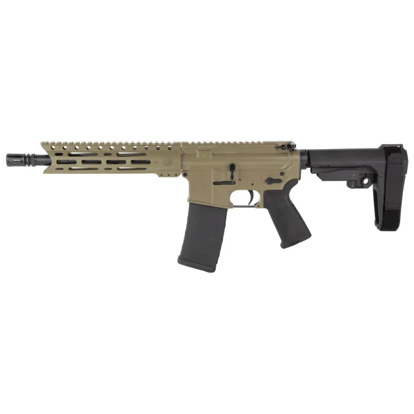 DBF DB15 556 10" MLOK 30RD FDE BRACE - DB15 Carbon | FrontLine Armoury - Gun shop FL