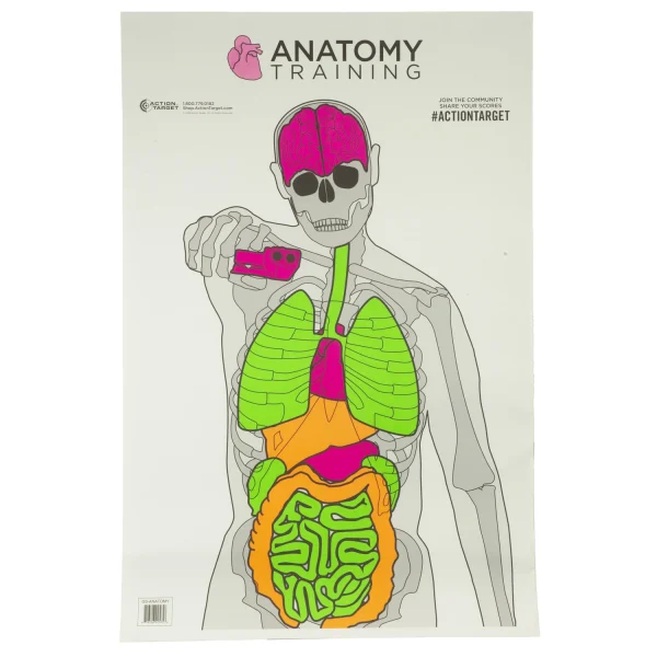 ACTION TGT ANATOMY TRNG 100PK - Anatomy Training Target | FrontLine Armoury - Gun shop FL