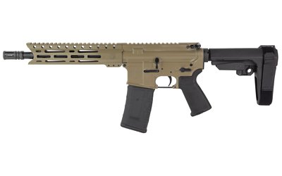 DBF DB15 300BLK 10" 30RD FDE BRACE