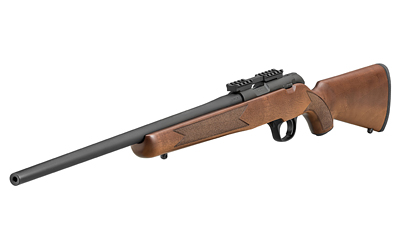 SPRGFLD 2020 RIMFIRE TRGT 22LR WLNT - Image 3