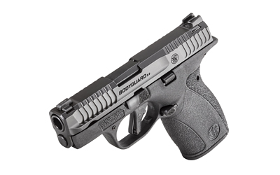 S&W BDYGRD 2.0 380ACP 2.75" 12RD NTS - Image 3
