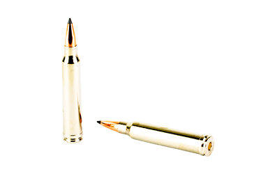 WIN EXPD BIG GM 300WIN 190GR 20/200 - Image 4