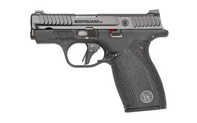 S&W BDYGRD 2.0 380ACP 2.75" 12RD NTS