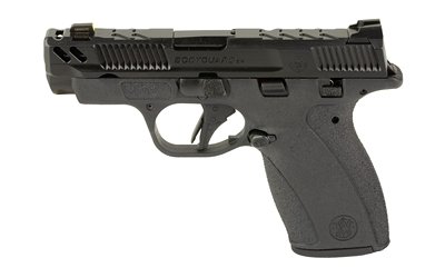 S&W BDYGRD 2.0 CC 380ACP 3.1 10RD TS