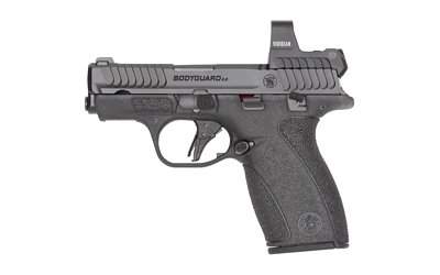 S&W BDYGRD 2.0 RFX1 380ACP 10RD TS