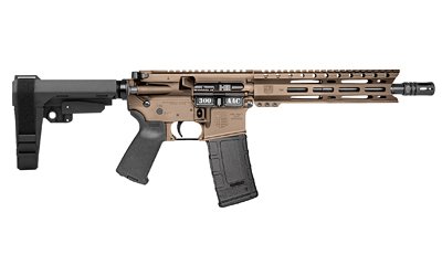 DBF DB15 300BLK 10" 30RD BRZ BRACE